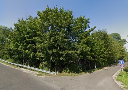 działka na sprzedaż - Leśna (gw), Stankowice